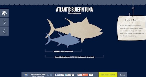 能夠啟發創造靈感的精美交互式信息圖表設計