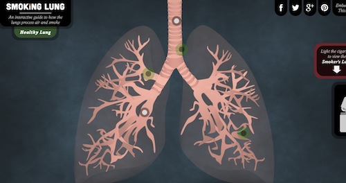 能夠啟發創造靈感的精美交互式信息圖表設計