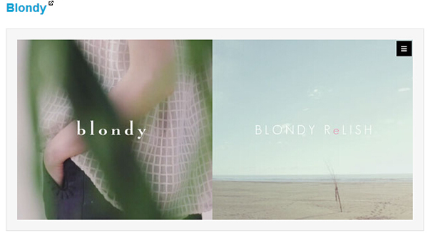 網(wǎng)站建設(shè)之精美的分欄式網(wǎng)頁(yè)賞析